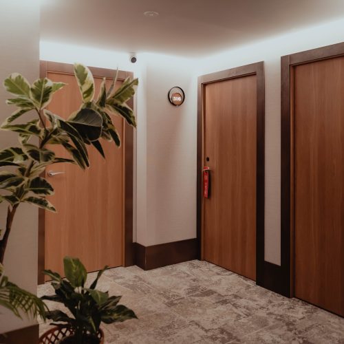 Puertas Cortafuegos de Madera.